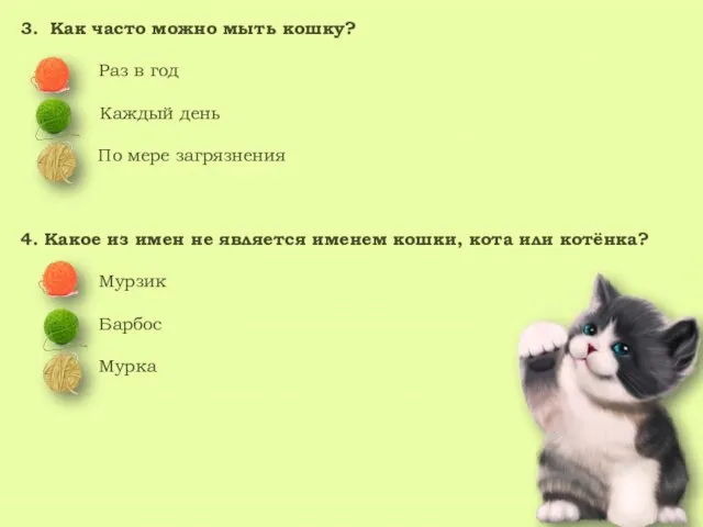 3. Как часто можно мыть кошку? Раз в год Каждый день По