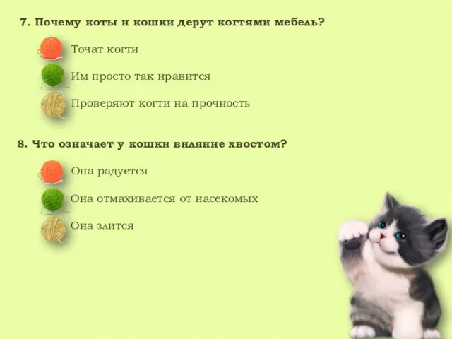 7. Почему коты и кошки дерут когтями мебель? Точат когти Им просто