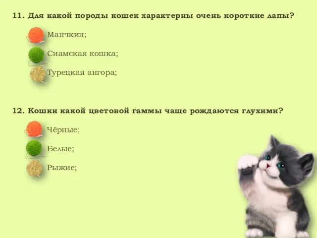 11. Для какой породы кошек характерны очень короткие лапы? Манчкин; Сиамская кошка;