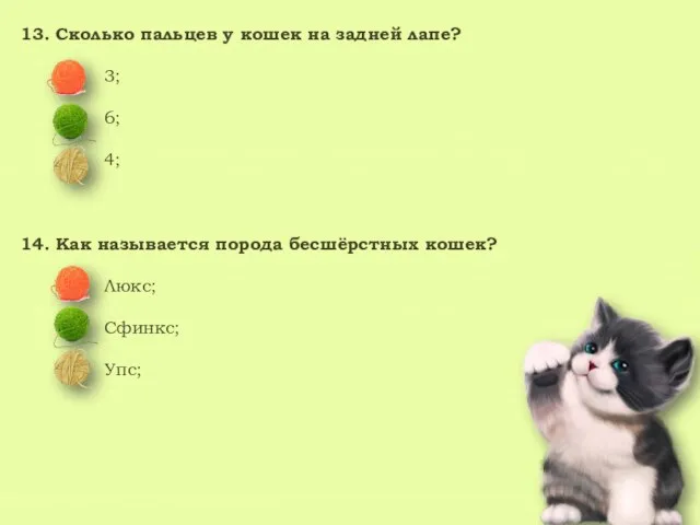 13. Сколько пальцев у кошек на задней лапе? 3; 6; 4; 14.