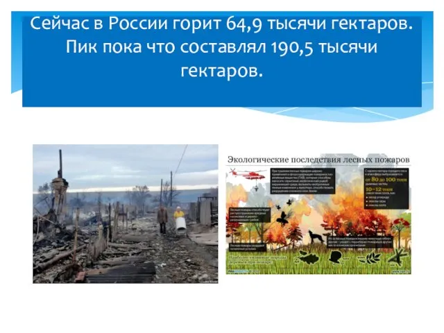 Сейчас в России горит 64,9 тысячи гектаров. Пик пока что составлял 190,5 тысячи гектаров.