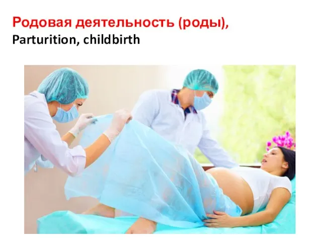 Родовая деятельность (роды), Parturition, childbirth