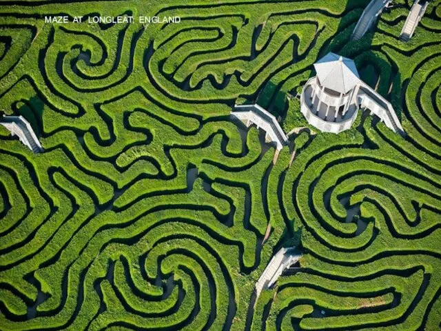 MAZE AT LONGLEAT, ENGLAND