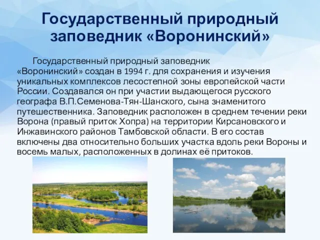 Государственный природный заповедник «Воронинский» Государственный природный заповедник «Воронинский» создан в 1994 г.