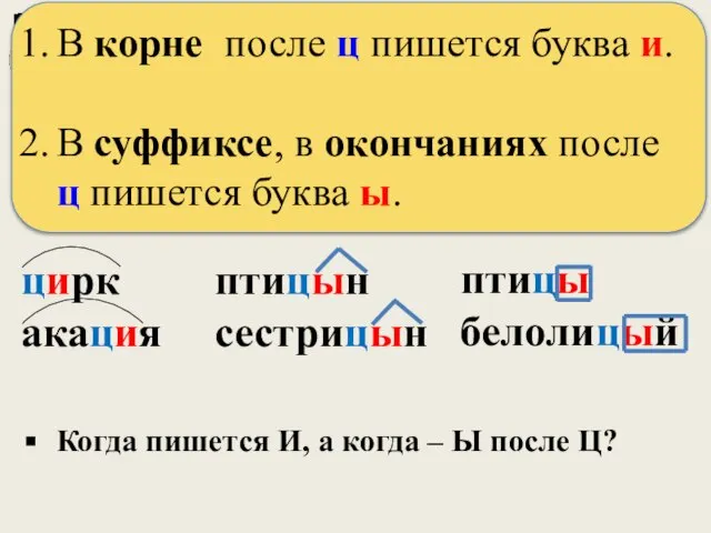 цирк акация птицын сестрицын птицы белолицый Обобщим наблюдения. В корне после ц