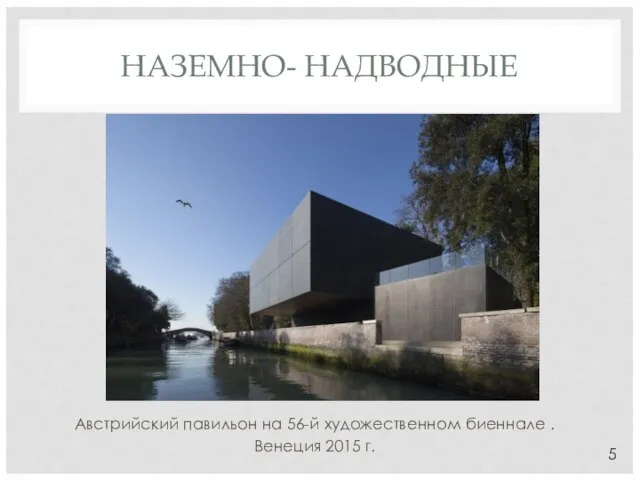 НАЗЕМНО- НАДВОДНЫЕ Австрийский павильон на 56-й художественном биеннале . Венеция 2015 г. 5