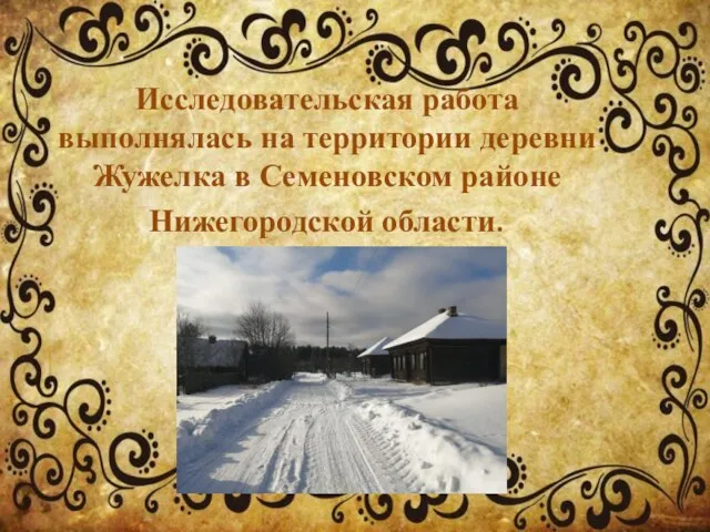 Исследовательская работа выполнялась на территории деревни Жужелка в Семеновском районе Нижегородской области.