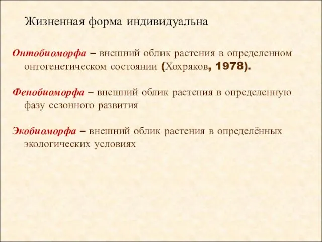 Онтобиоморфа – внешний облик растения в определенном онтогенетическом состоянии (Хохряков, 1978). Фенобиоморфа