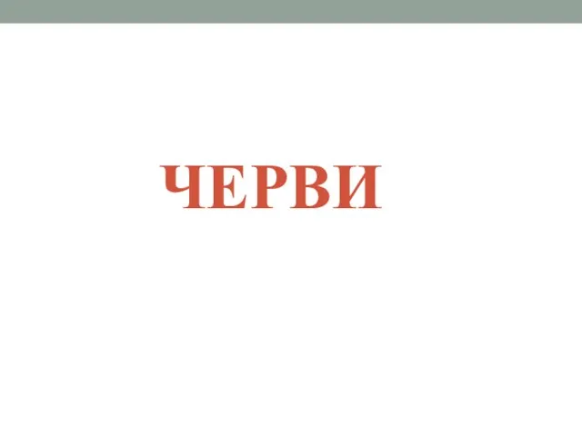 ЧЕРВИ