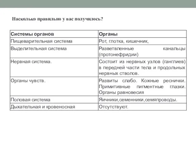 Насколько правильно у вас получилось?