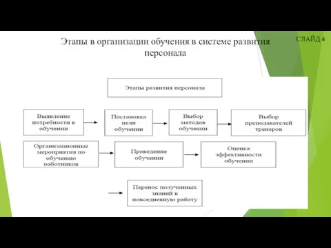 СЛАЙД 4 Этапы в организации обучения в системе развития персонала