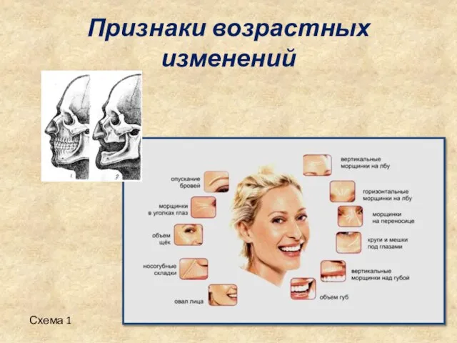 Признаки возрастных изменений Схема 1