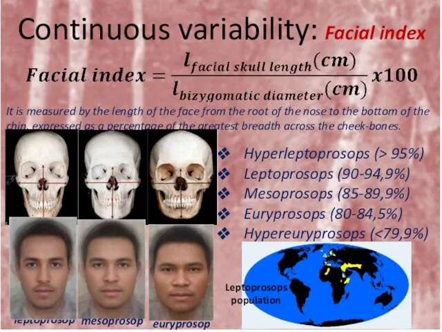 Continuous variability: Facial index Hyperleptoprosops (> 95%) Leptoprosops (90-94,9%) Mesoprosops (85-89,9%) Euryprosops