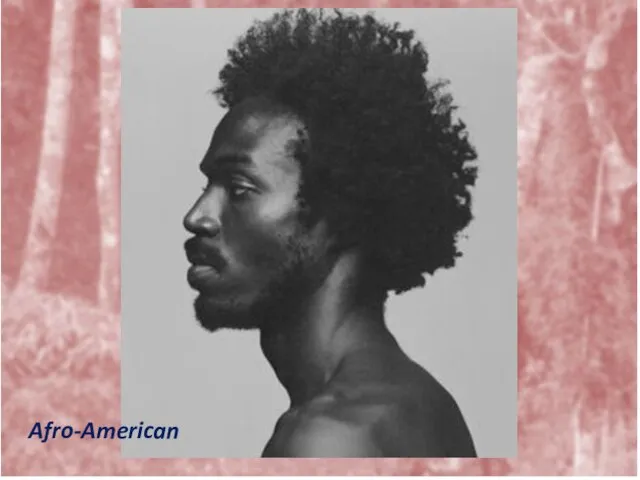 Afro-American