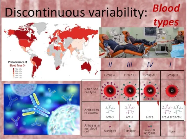 Discontinuous variability: Blood types