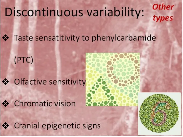 Discontinuous variability: Other types Taste sensatitivity to phenylcarbamide (PTC) Olfactive sensitivity Chromatic vision Cranial epigenetic signs