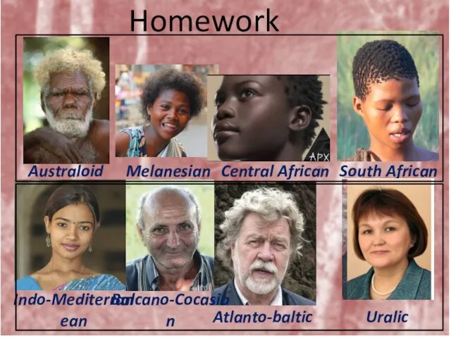 Homework Australoid Melanesian Central African South African Indo-Mediterranean Atlanto-baltic Balcano-Cocasian Uralic