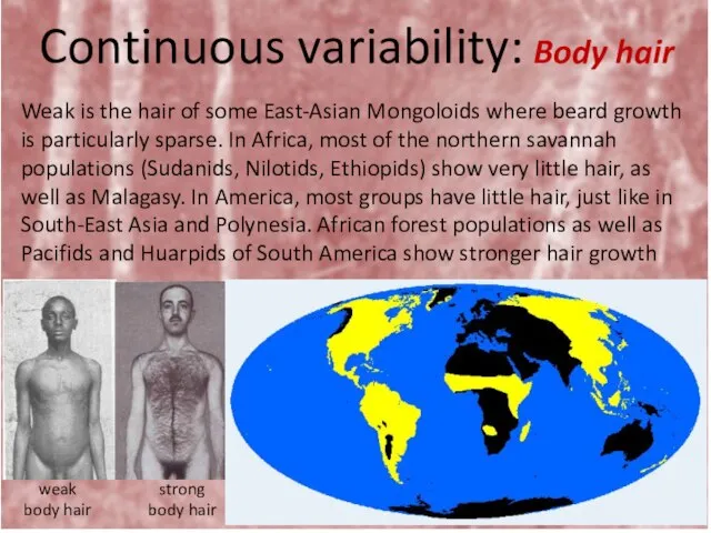 Continuous variability: Body hair Weak is the hair of some East-Asian Mongoloids