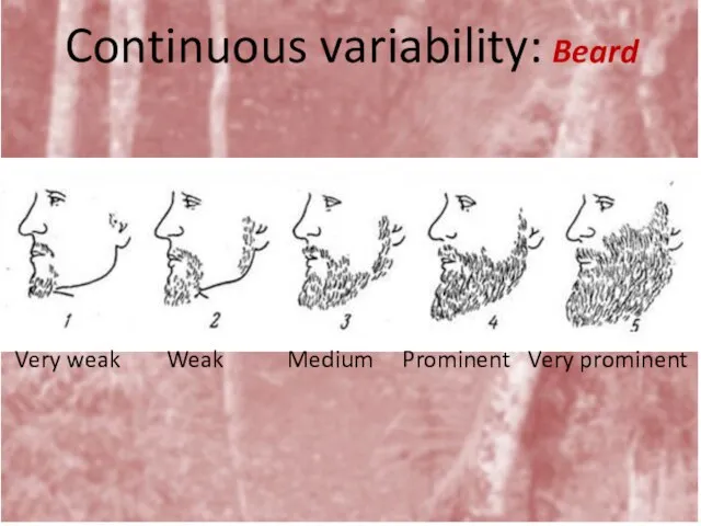 Continuous variability: Beard