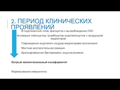 2. ПЕРИОД КЛИНИЧЕСКИХ ПРОЯВЛЕНИЙ В подслизистый слой, фагоцитоз с высвобождение ЛОС Активация