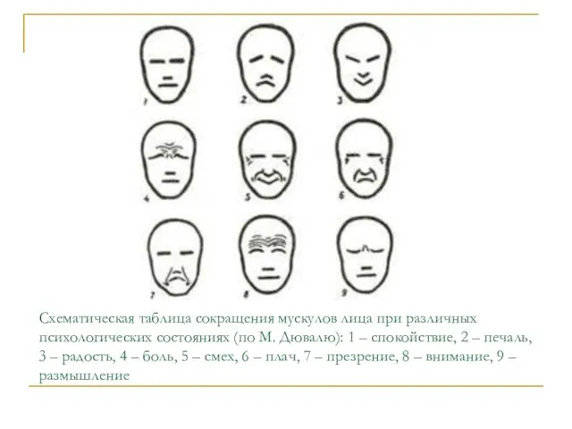 Схематическая таблица сокращения мускулов лица при различных психологических состояниях (по М. Дювалю):