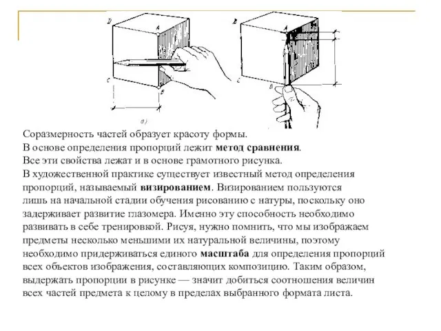 Соразмерность частей образует красоту формы. В основе определения пропорций лежит метод сравнения.