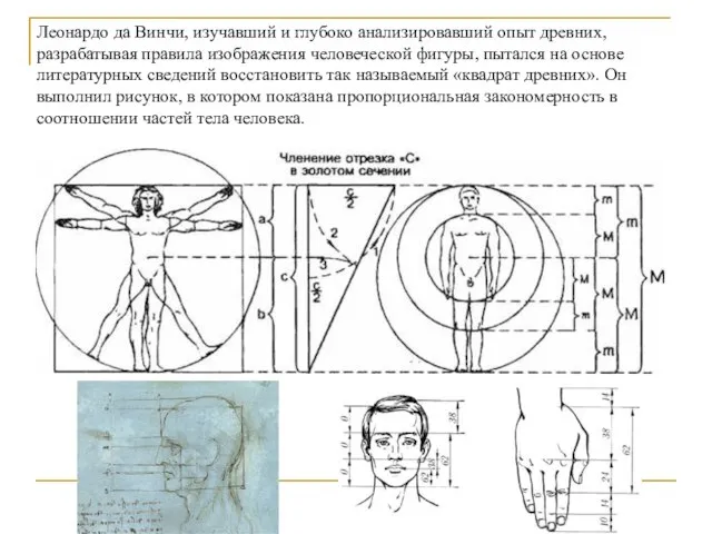 Леонардо да Винчи, изучавший и глубоко анализировавший опыт древних, разрабатывая правила изображения