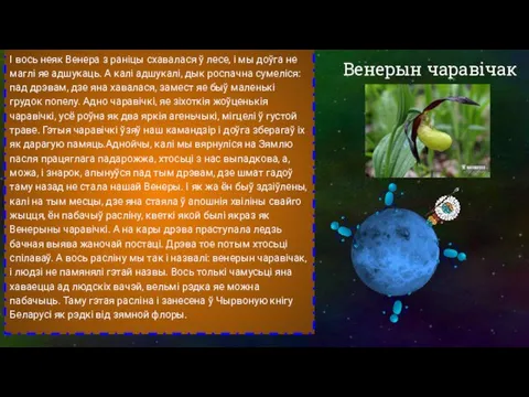 Венерын чаравічак I вось неяк Венера з раніцы схавалася ў лесе, і