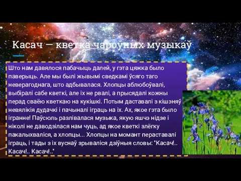 Касач — кветка чароўных музыкаў Што нам давялося пабачыць далей, у гэта