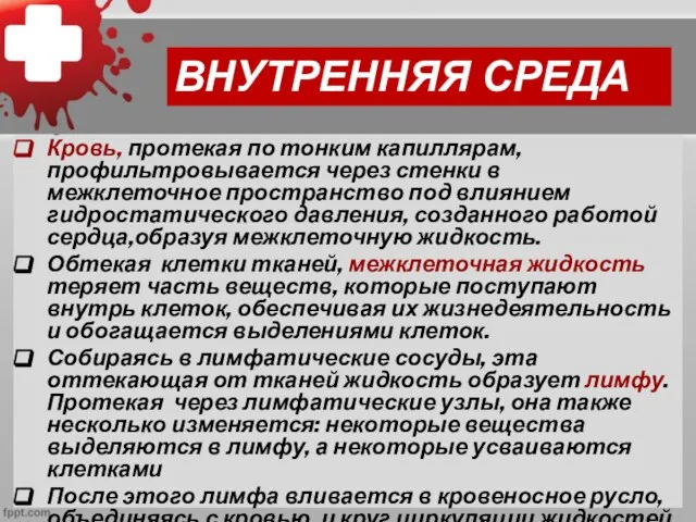 Кровь, протекая по тонким капиллярам, профильтровывается через стенки в межклеточное пространство под