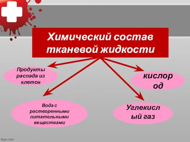 Химический состав тканевой жидкости кислород Вода с растворенными питательными веществами Продукты распада из клеток Углекислый газ