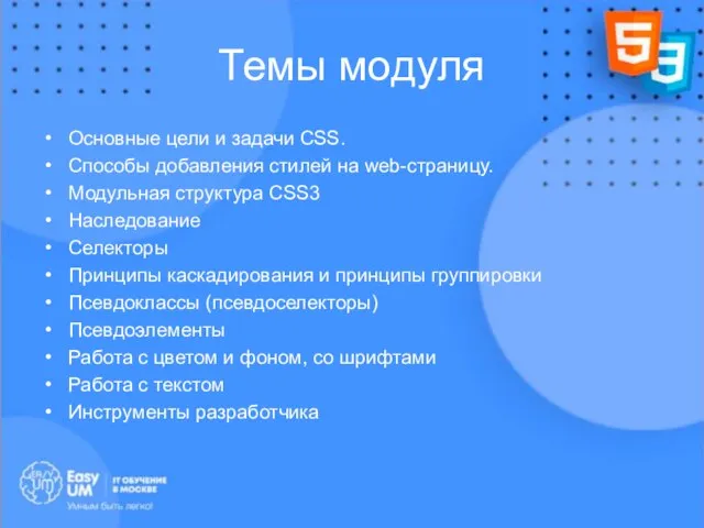 Темы модуля Основные цели и задачи CSS. Способы добавления стилей на web-страницу.