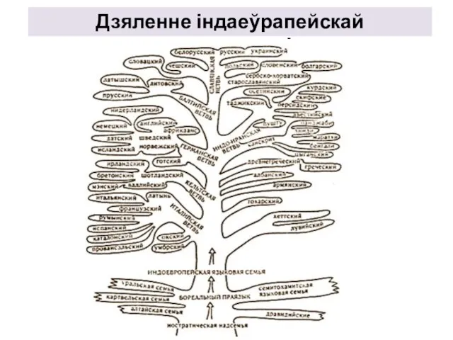 Дзяленне індаеўрапейскай супольнасці