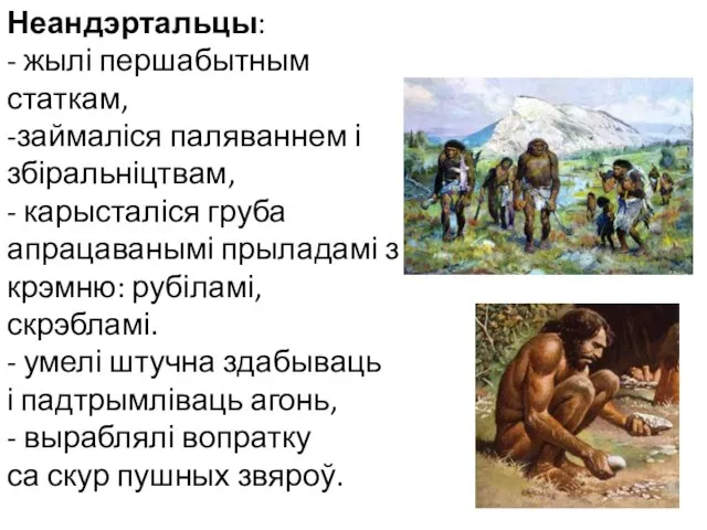 Неандэртальцы: - жылі першабытным статкам, -займаліся паляваннем і збіральніцтвам, - карысталіся груба