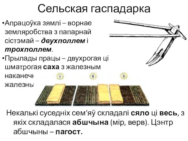 Сельская гаспадарка Некалькі суседніх сем’яў складалі сяло ці весь, з якіх складалася