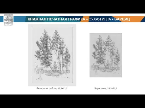 КНИЖНАЯ ПЕЧАТНАЯ ГРАФИКА • СУХАЯ ИГЛА • БАРЦИЦ Р. Ч. Зарисовка, 28,5х20,5 Авторская работа, 17,5х12,5