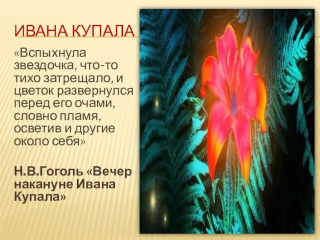 ИВАНА КУПАЛА «Вспыхнула звездочка, что-то тихо затрещало, и цветок развернулся перед его