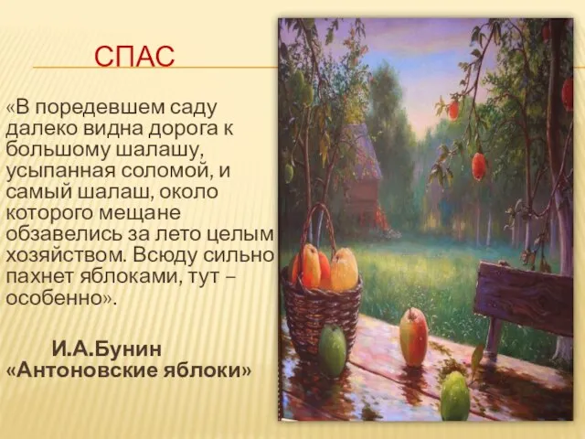 СПАС «В поредевшем саду далеко видна дорога к большому шалашу, усыпанная соломой,