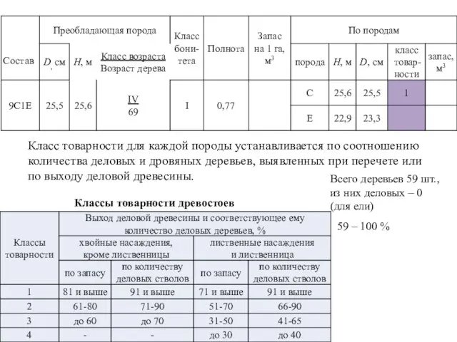 Класс товарности для каждой породы устанавливается по соотношению количества деловых и дровяных