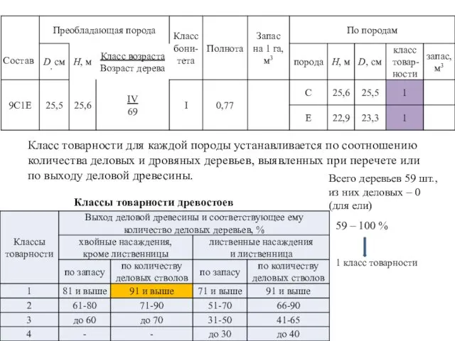 Класс товарности для каждой породы устанавливается по соотношению количества деловых и дровяных