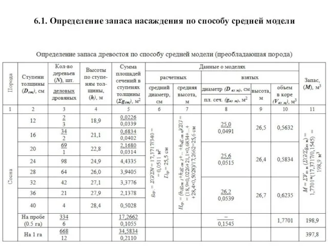 6.1. Определение запаса насаждения по способу средней модели