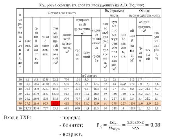 Ход роста сомкнутых еловых насаждений (по А.В. Тюрину)