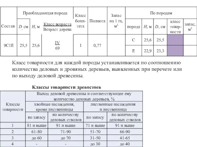 Класс товарности для каждой породы устанавливается по соотношению количества деловых и дровяных