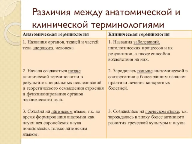 Различия между анатомической и клинической терминологиями