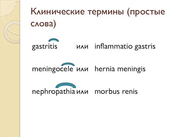 Клинические термины (простые слова) gastritis или inflammatio gastris meningocele или hernia meningis nephropathia или morbus renis