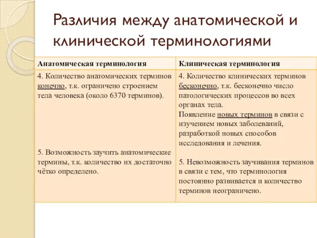 Различия между анатомической и клинической терминологиями