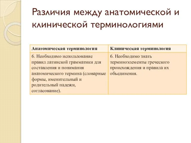 Различия между анатомической и клинической терминологиями