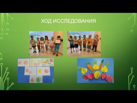 ХОД ИССЛЕДОВАНИЯ