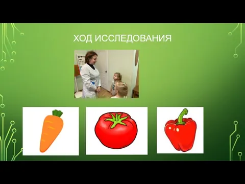 ХОД ИССЛЕДОВАНИЯ