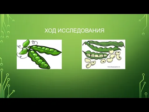 ХОД ИССЛЕДОВАНИЯ